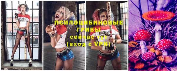 стафф Ладушкин