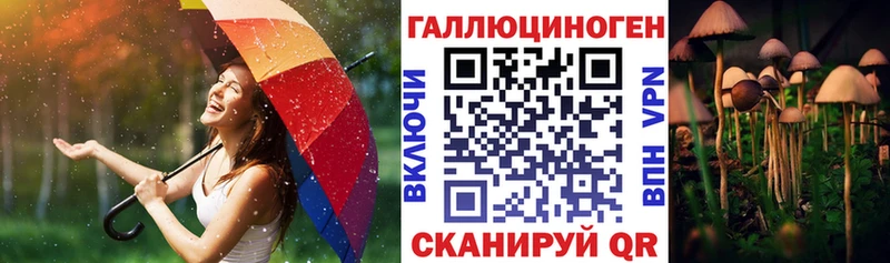 Псилоцибиновые грибы мицелий  Купить закладки  Нытва 